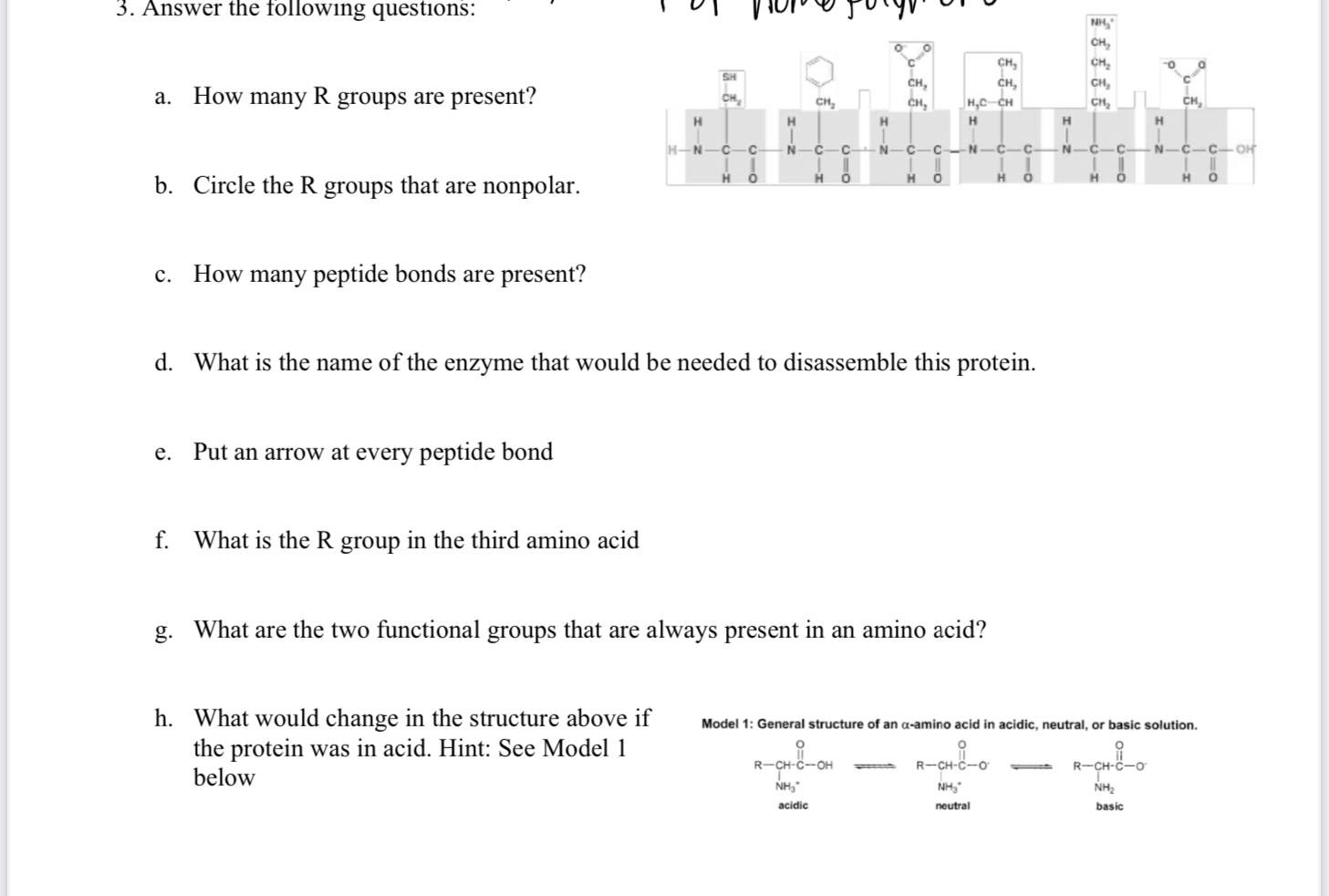 Solved 3. Answer the following questions: a. How many R | Chegg.com