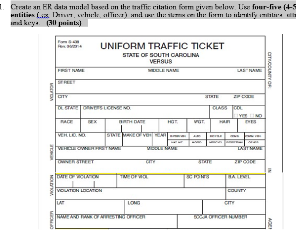 police citation template