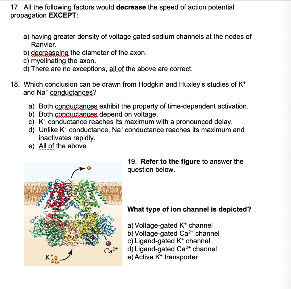 Solved 17. All the following factors would decrease the | Chegg.com