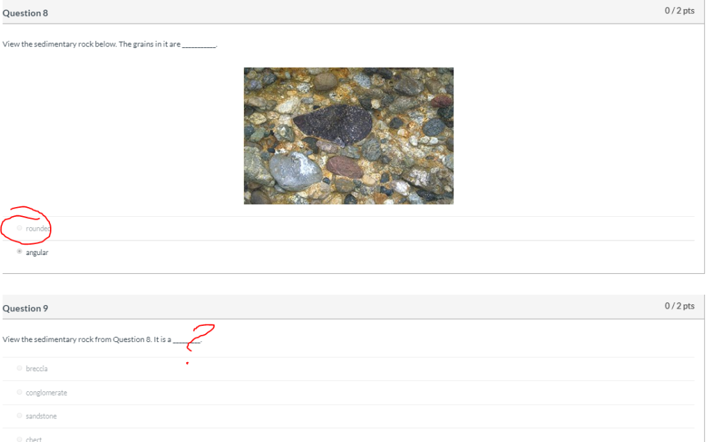 Solved 0/2 pts Question 8 View the sedimentary rock below. | Chegg.com