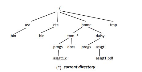 Solved Course:operating system (File Management) in an | Chegg.com