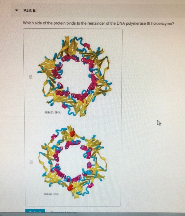 Solved Part E Which Side Of The Protein Binds To The | Chegg.com