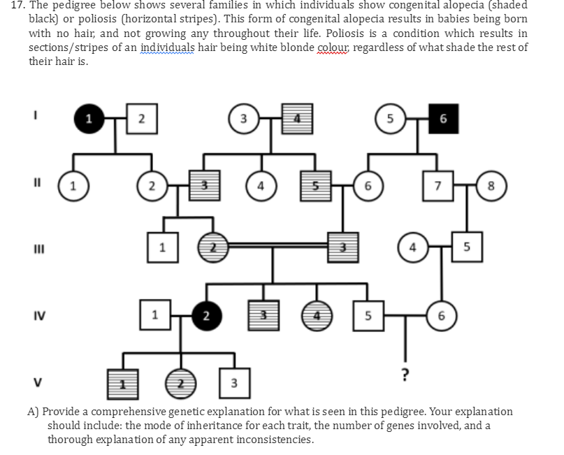 Solved b) if IV-5 and IV-6 are going to have a child, what | Chegg.com