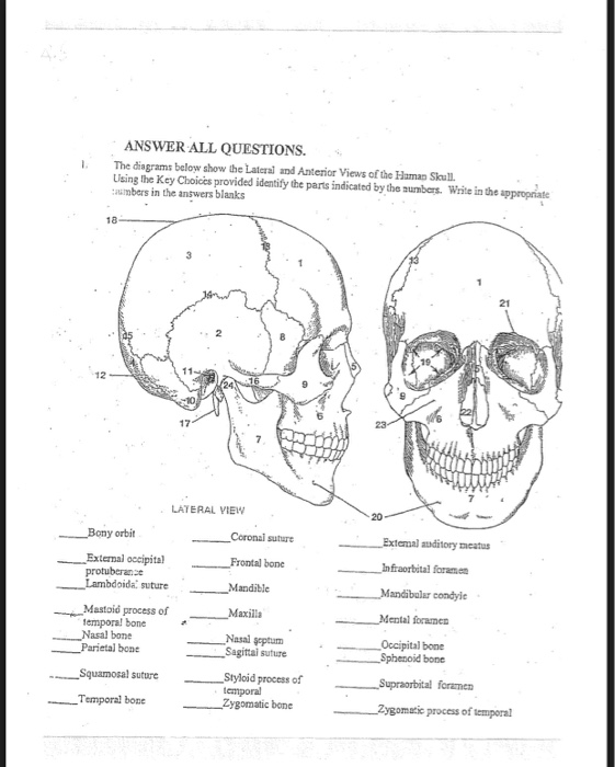 Solved ANSWER ALL QUESTIONS. The diagrams below show the | Chegg.com