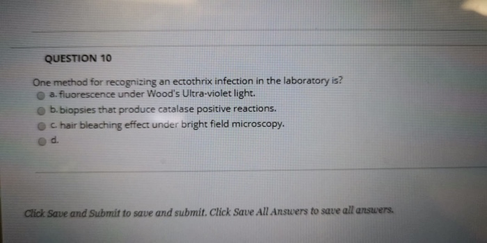 Solved E. coli O157:H7 is referred to as | Chegg.com