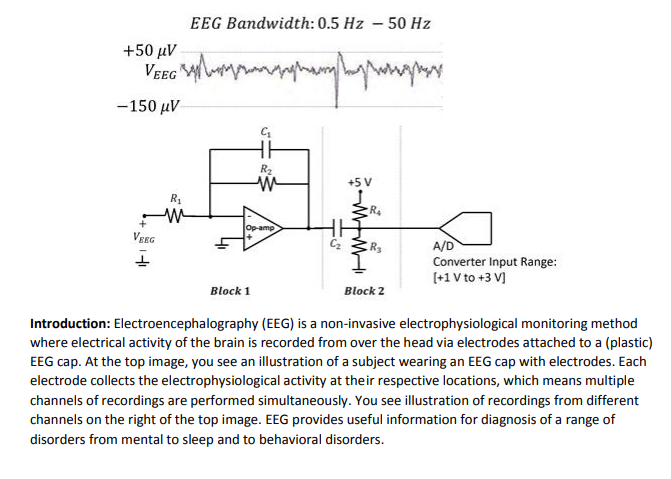 EEG Bandwidth: 0.5 Hz - 50 Hz +50 uV VEEG | Chegg.com