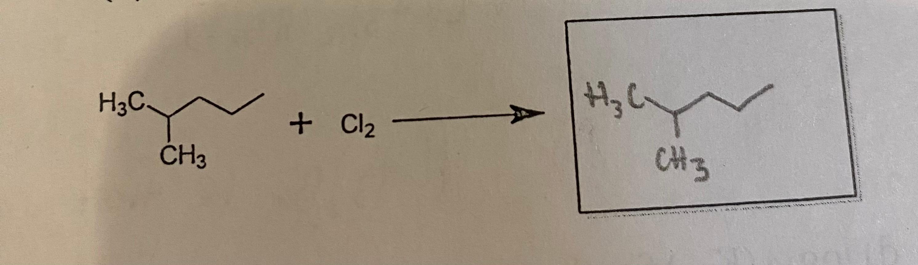 Solved Major product of monohalogenation for : | Chegg.com