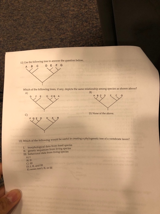Solved 12) Use the following tree to answer the question | Chegg.com