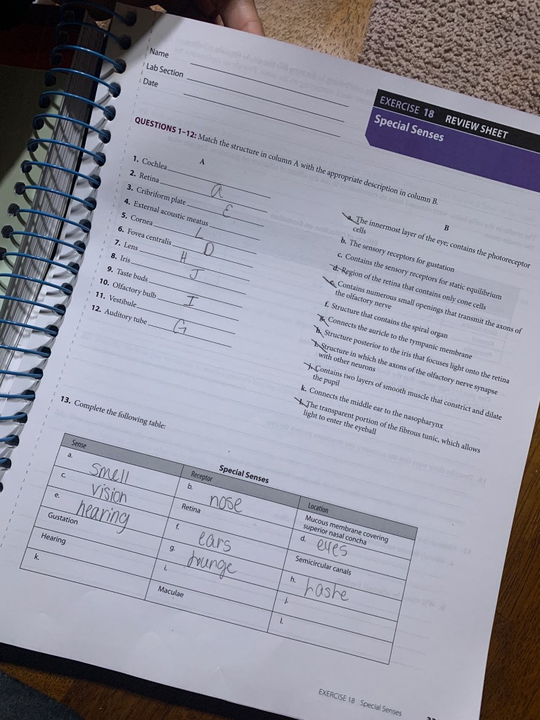 solved-name-lab-section-date-exercise-18-review-sheet-chegg