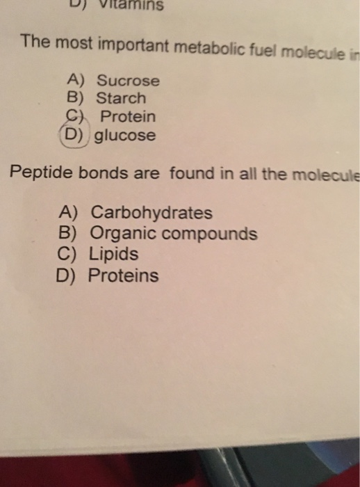 Solved D) Vitamins The most important metabolic fuel | Chegg.com
