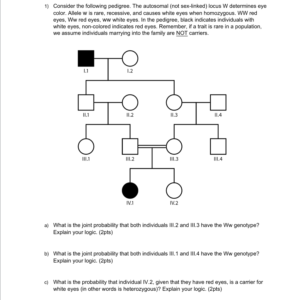 eye-color-pedigree-eye-color-photos