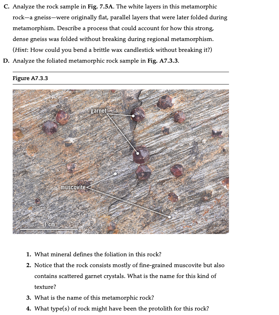 Solved C. Analyze the rock sample in Fig. 7.5A. The white | Chegg.com