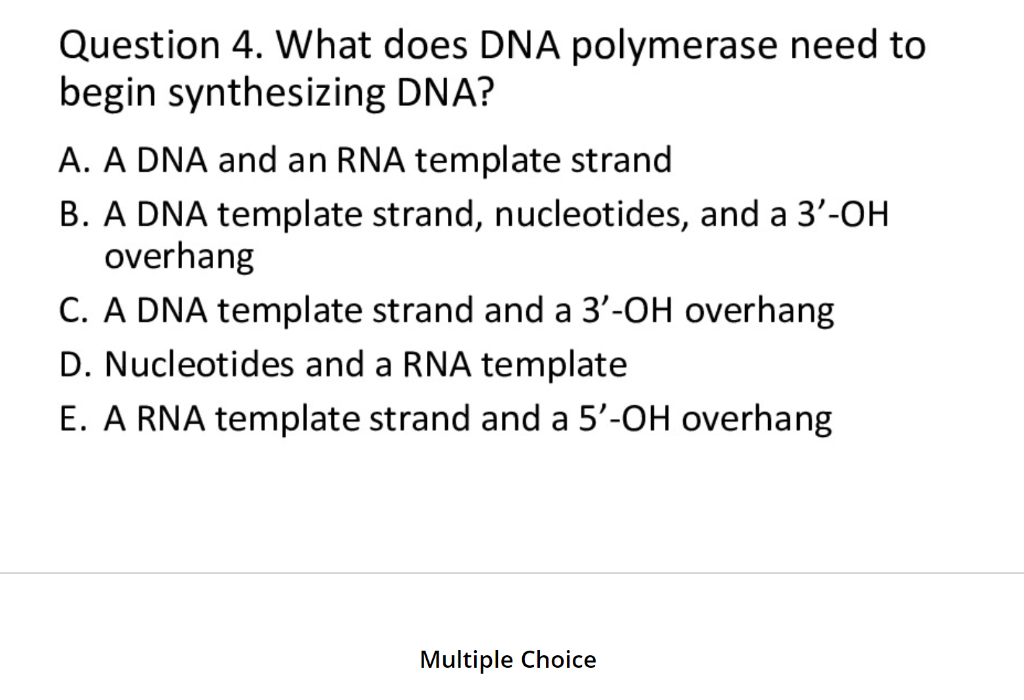 Solved Question 4 What does DNA polymerase need to begin Chegg com