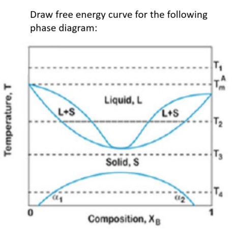 Solved Draw free energy curve for the following phase | Chegg.com