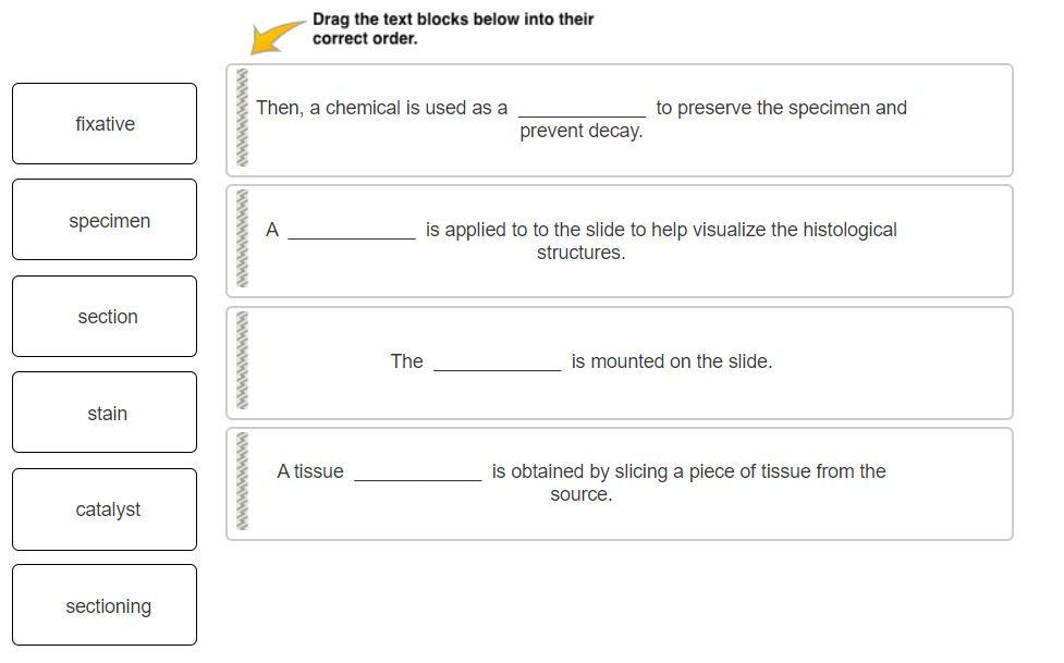 solved-the-statements-below-all-pertain-to-the-process-of-chegg