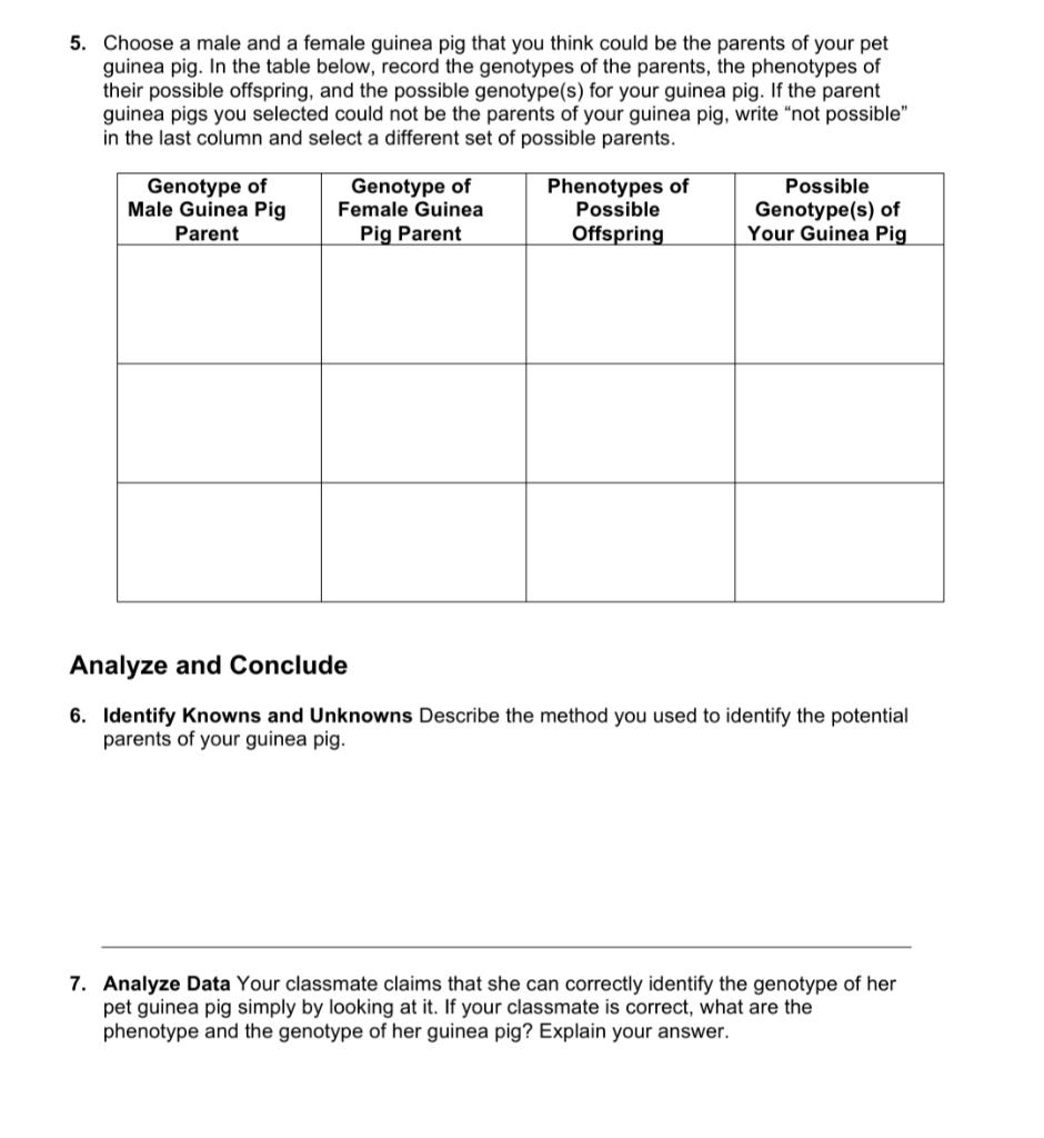 Guinea Pig Genetics How Can You Determine Parental... | Chegg.com
