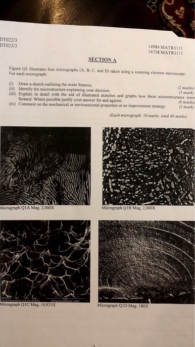 Figure Q1 illustrates four micrographs (A, B, C, and | Chegg.com