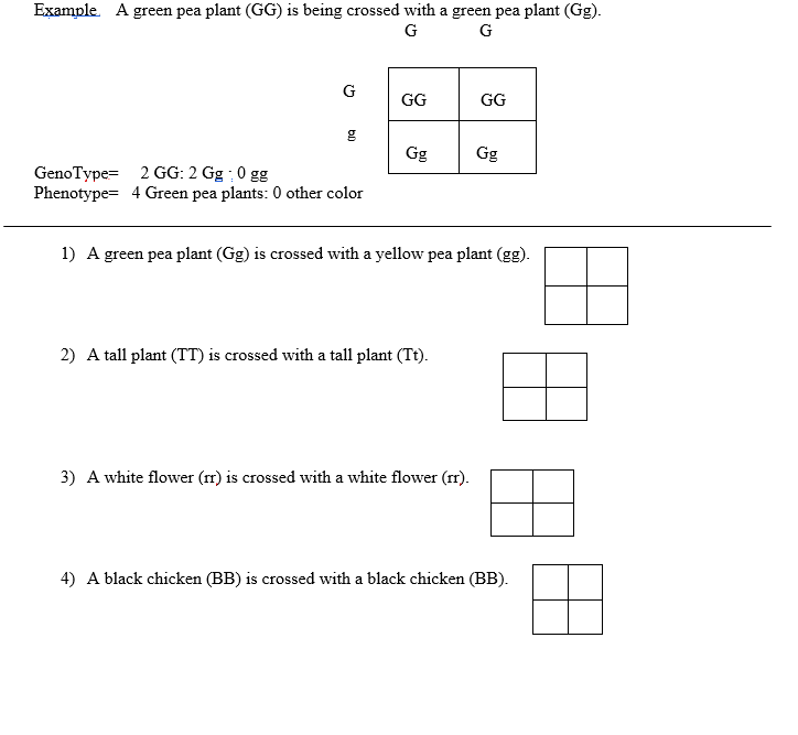 Solved Example A green pea plant (GG) is being crossed with