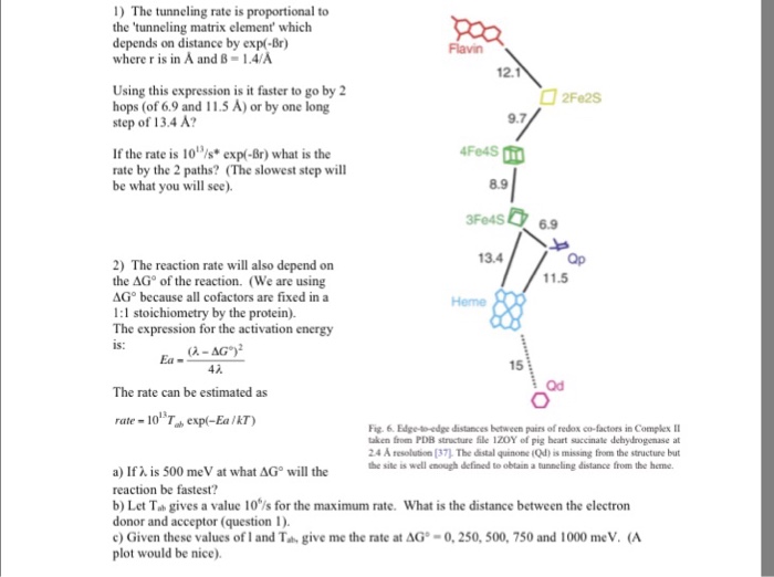 1) The tunneling rate is proportional to the