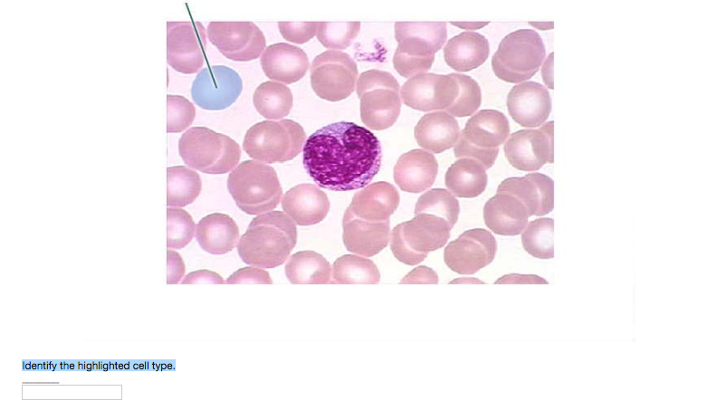 Can Excel Identify Highlighted Cells