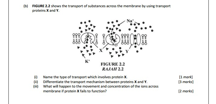 Solved 52. A student set up two experiments using the | Chegg.com