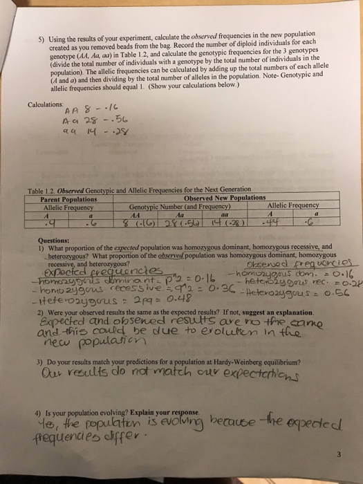 Solved Testing the Hardy Weinberg equilibrium using colored | Chegg.com