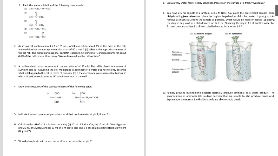 Solved 8 Explain Why Water Forms Nearly Spherical Droplets