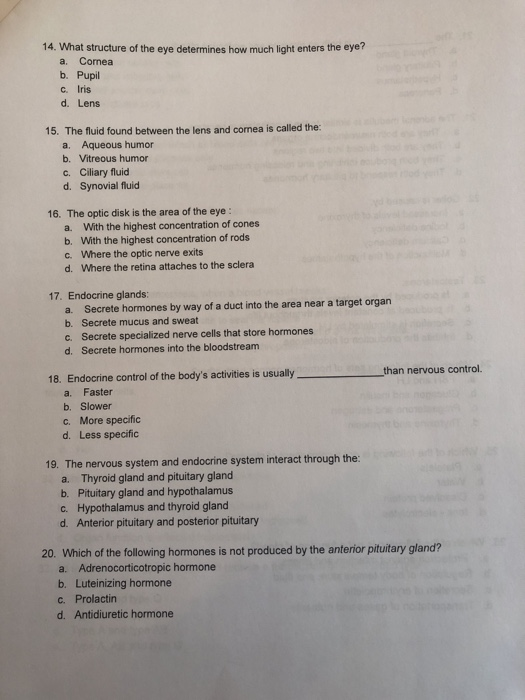 Solved 14. What structure of the eye determines how much | Chegg.com