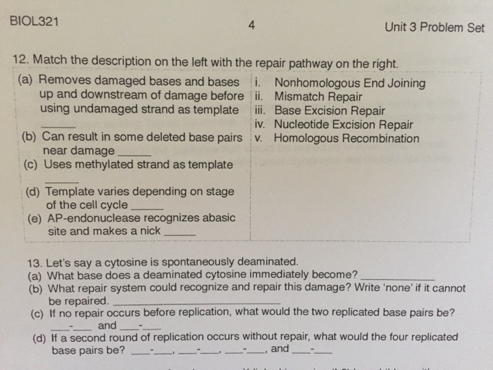 Solved BIOL321 4 Unit 3 Problem Set 12. Match The | Chegg.com