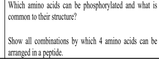 Solved Which Amino Acids Can Be Phosphorylated And What Is | Chegg.com