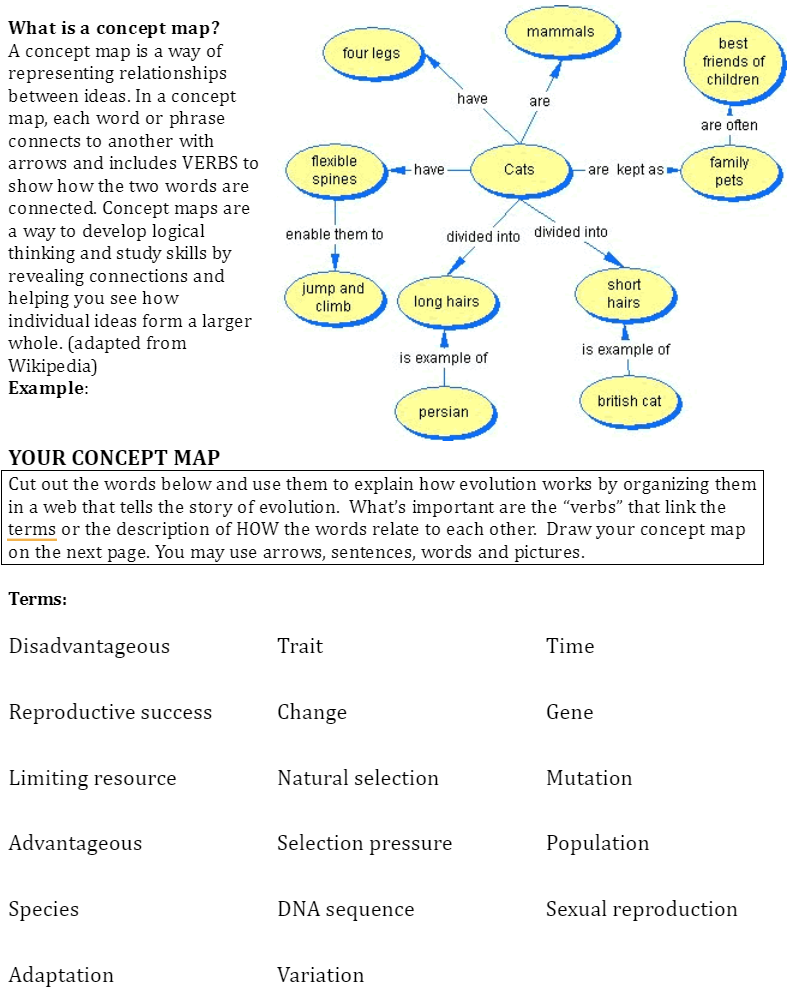 What is a concept map? A concept map is a way of | Chegg.com