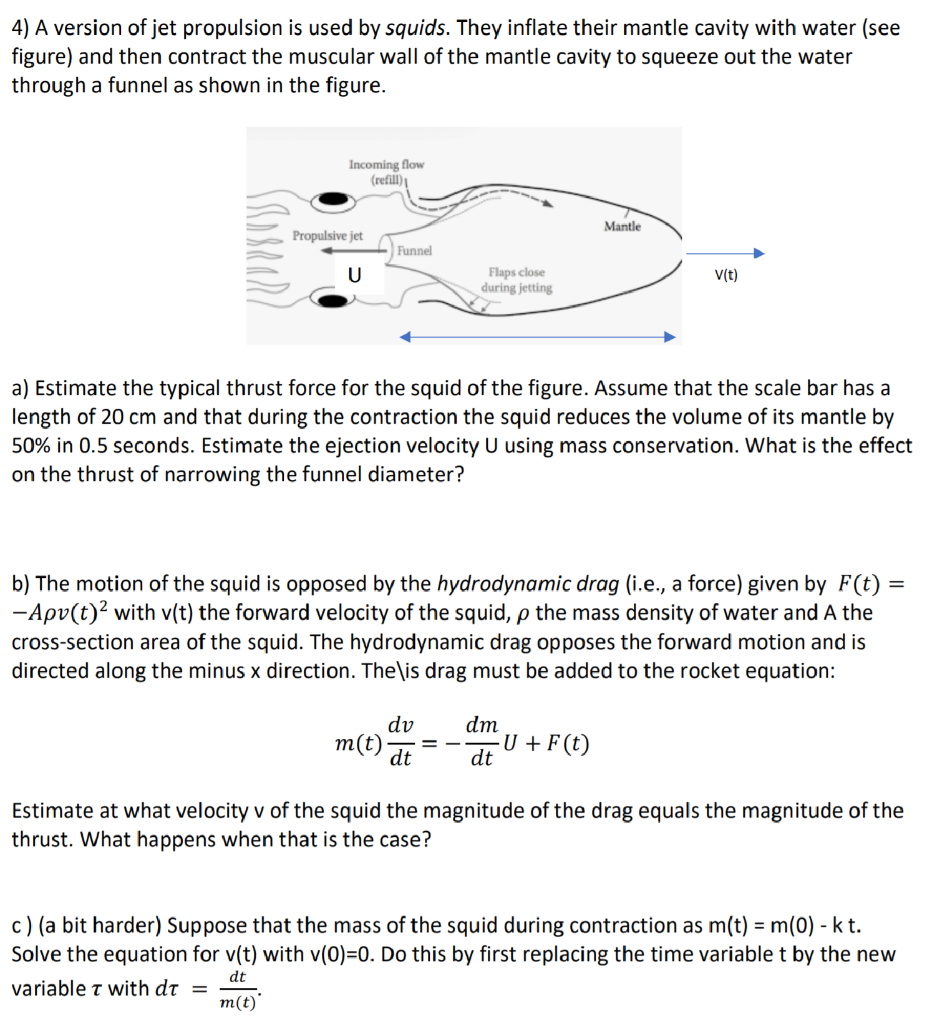4) A version of jet propulsion is used by squids.