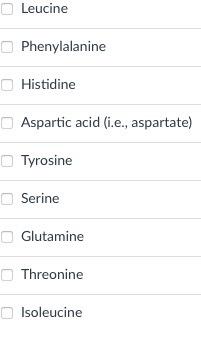 Solved Which amino acids are present in the peptide shown | Chegg.com