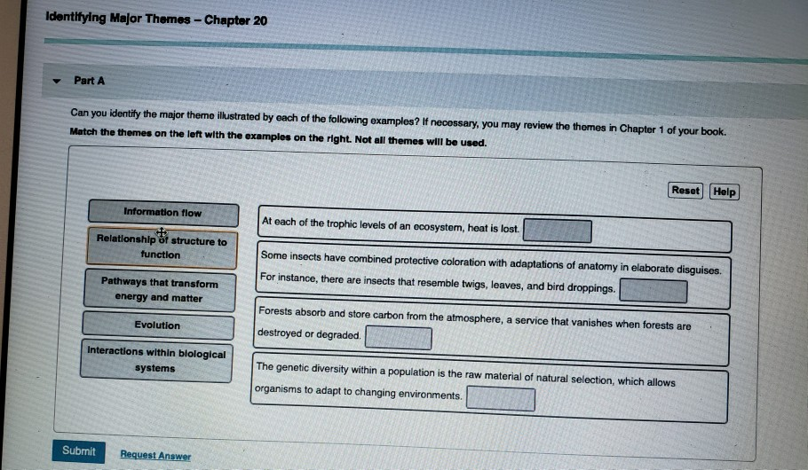 Solved Identitying Major Themes - Chapter 20 Part A Can you | Chegg.com