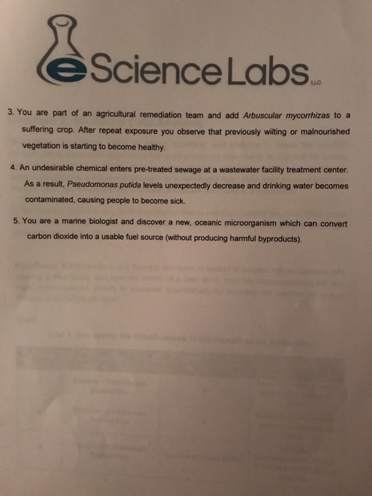 eScience Labs LLC Exercise 1 If then... Developing