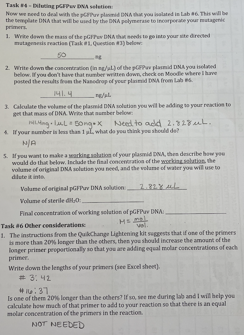 BIOL 327 Molecular Biology Name 3. Primers are