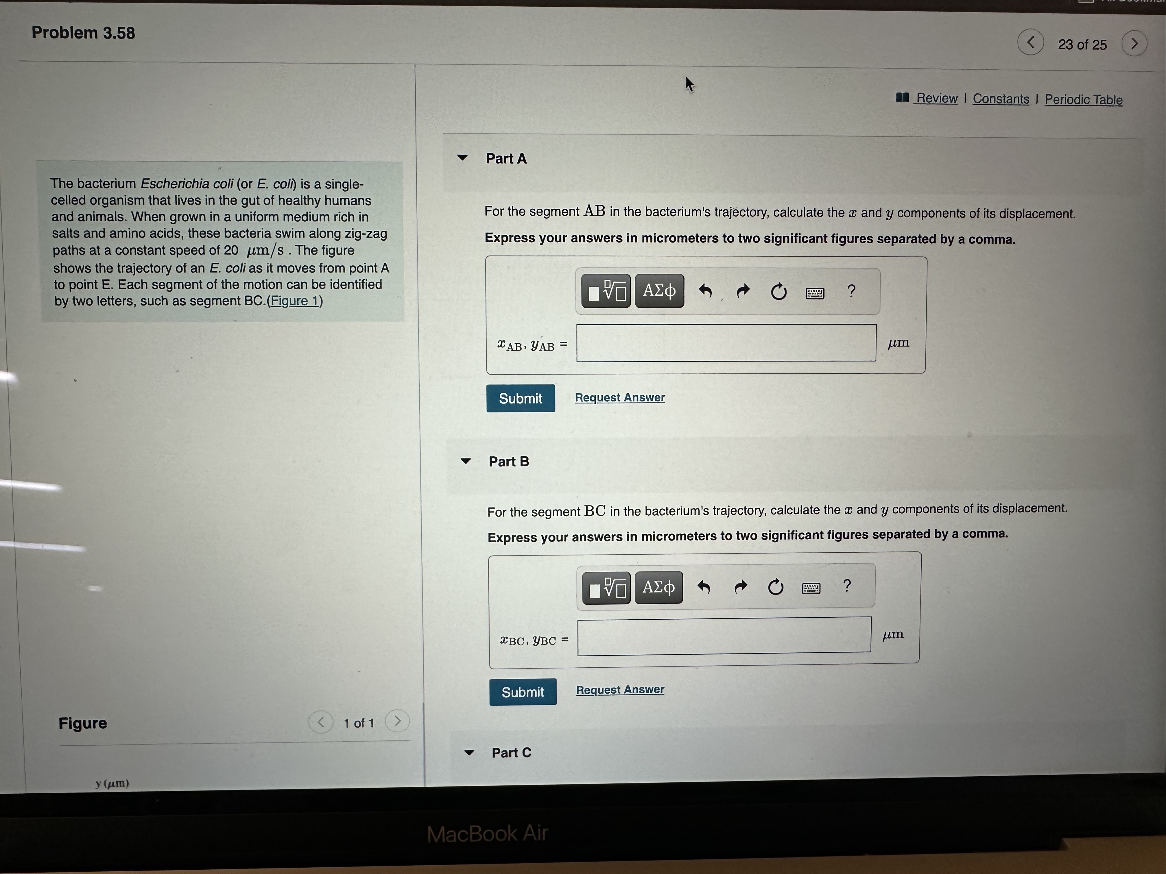 Solved The bacterium Escherichia coli (or E. coll) is a | Chegg.com