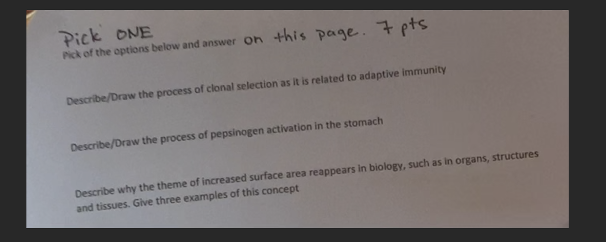 Solved Pick ONE Nick of the options below and answer on this | Chegg.com