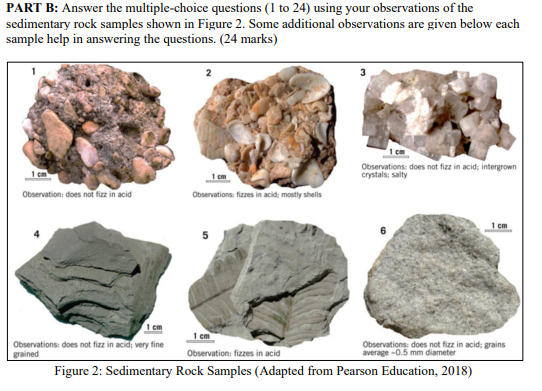 Solved 1. Sample 1 is called ______. a. Sandstone b.