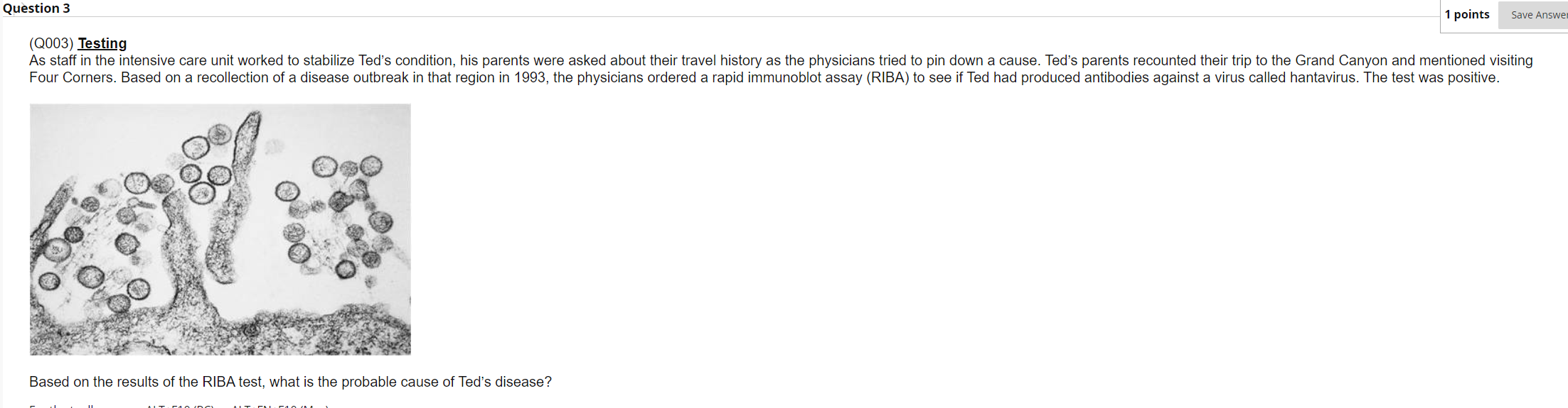 (Q003) Testing Based on the results of the RIBA test, | Chegg.com