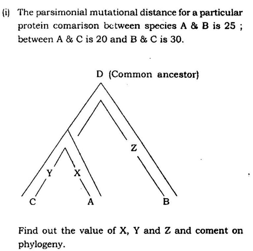 Solved i) The parsimonial mutational distance for a | Chegg.com
