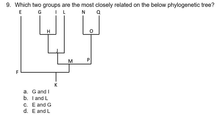 solved-9-which-two-groups-are-the-most-closely-related-on-chegg