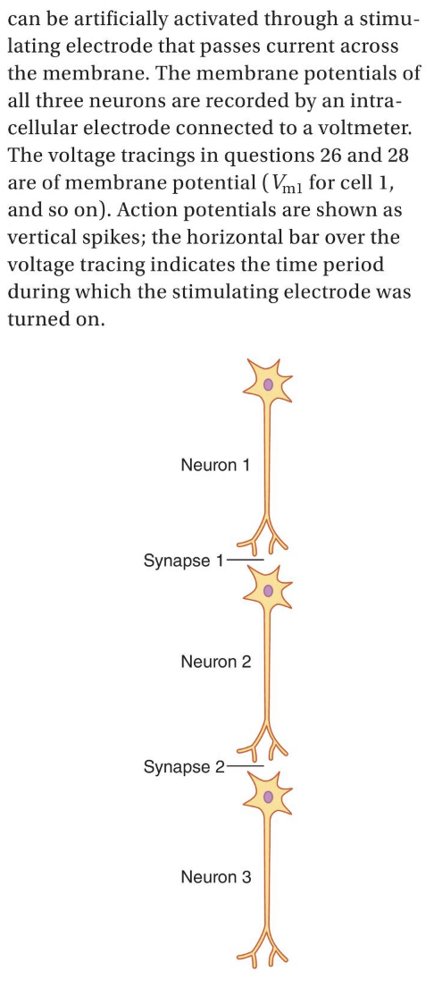 Solved I don't understand what the correct answer should be | Chegg.com
