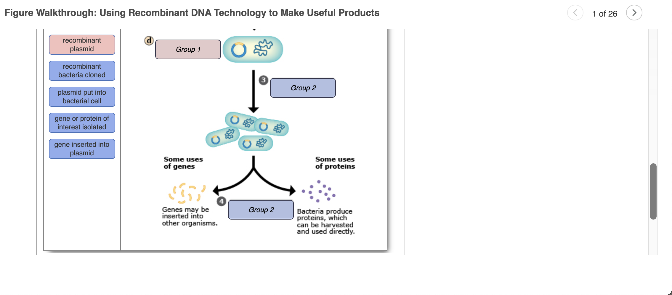 solved-figure-walkthrough-using-recombinant-dna-technology-chegg