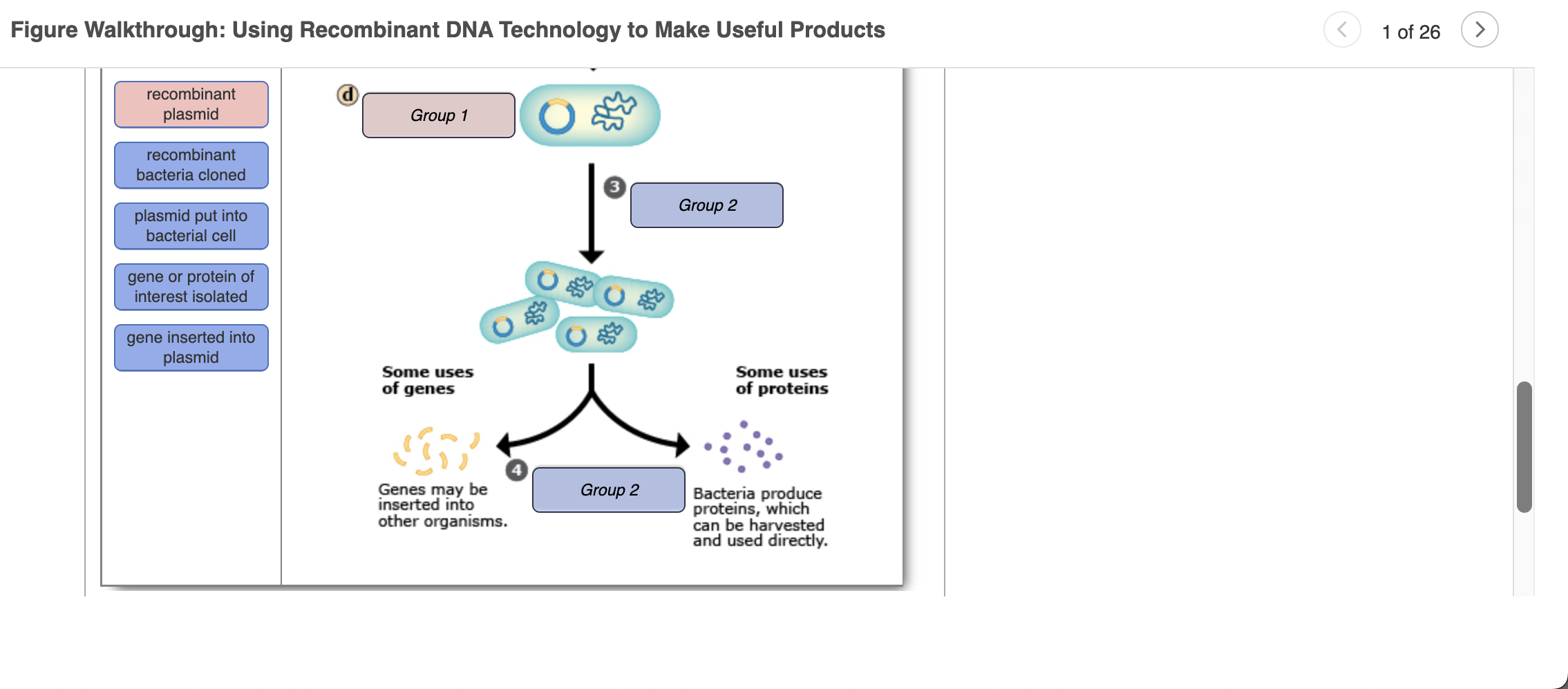 Solved Figure Walkthrough Using Recombinant DNA Technology Chegg