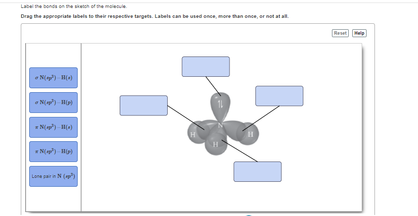 Solved Label the bonds on the sketch of the molecule. Drag | Chegg.com