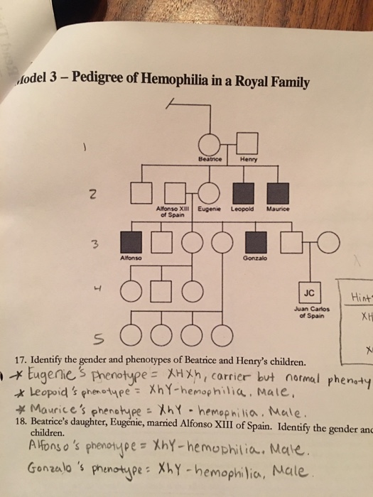 solved-odel-3-pedigree-of-hemophilia-in-a-royal-family-chegg