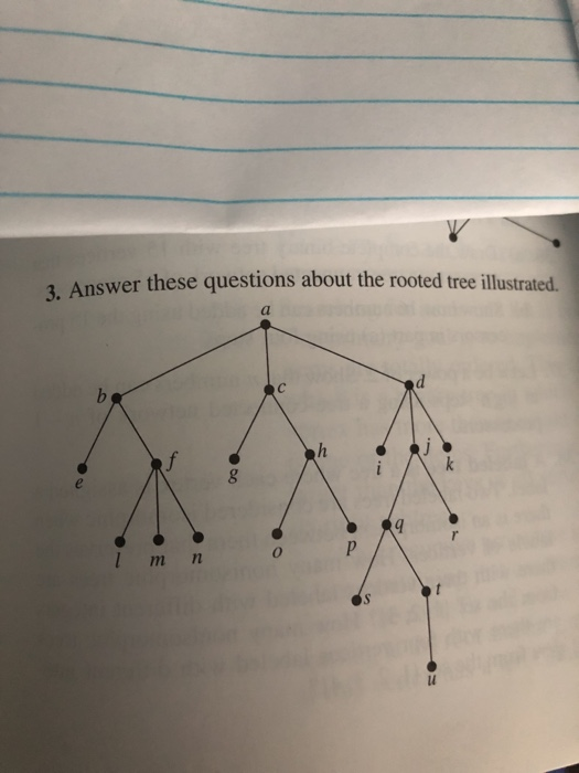 Solved Answer these questions about the rooted tree