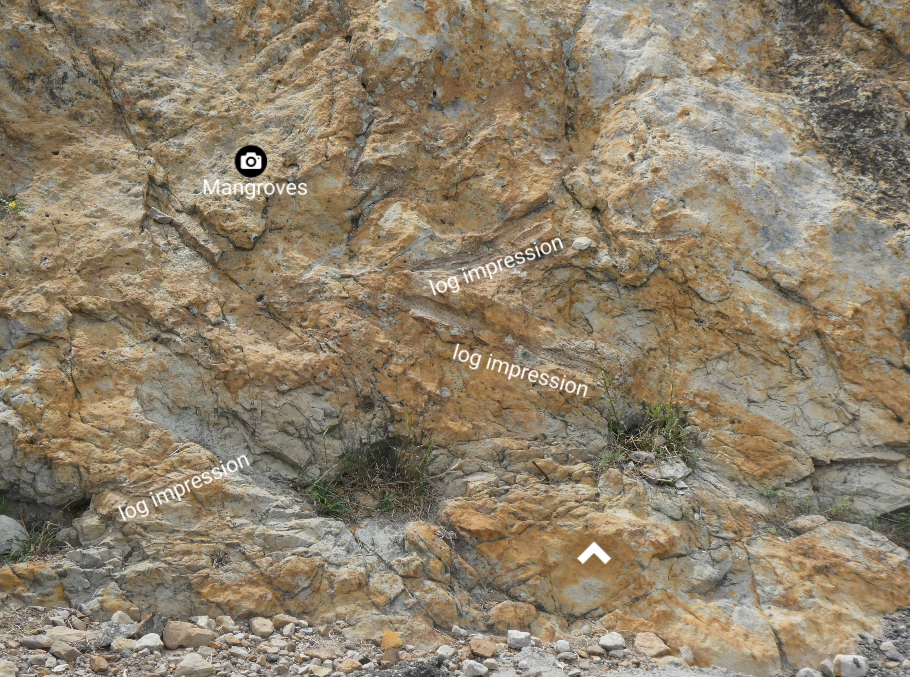 Solved Please walk through the online dinosaur ridge field | Chegg.com