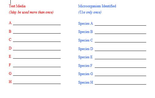 Solved Identification Of An Unknown Bacterium Decision Chart | Chegg.com